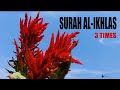 Surah Al Ikhlas 3 Times 