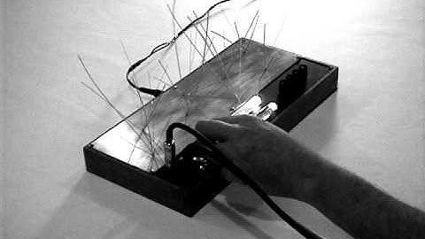 Folktek Luminist Garden Video 2