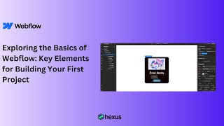 Exploring the Basics of Webflow: Key Elements for Building Your First Project. Net Worth