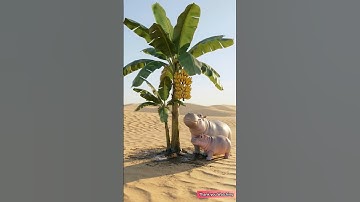 A hippopotamus saved a banana plant from drying out by watering it 😭 #ai​ #tree​ #save​ #water​