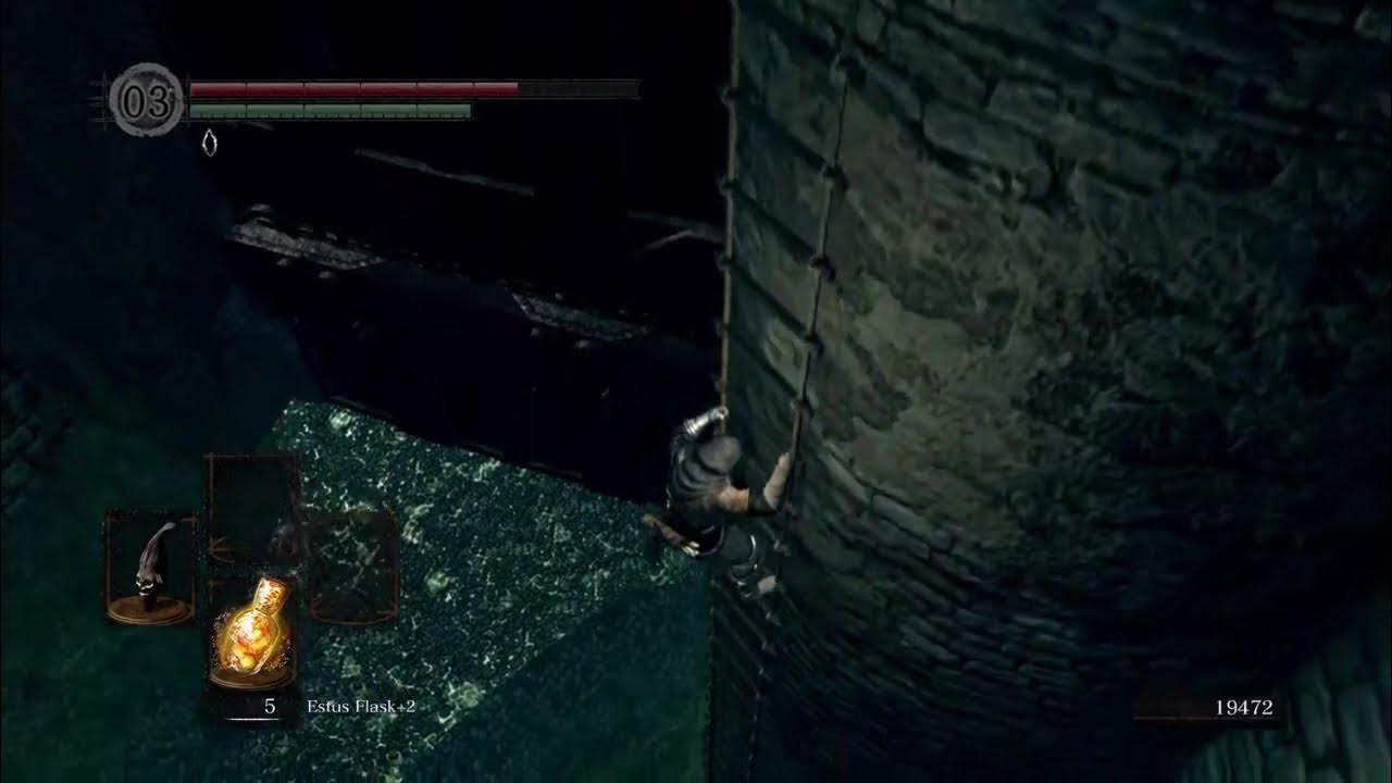 How to Quickly Slide Down a Ladder in DARK SOULS for PS and Xbox. YouTube