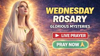 Pray the Rosary Wednesday 🌹 Glorious Mysteries | Daily Prayer Together