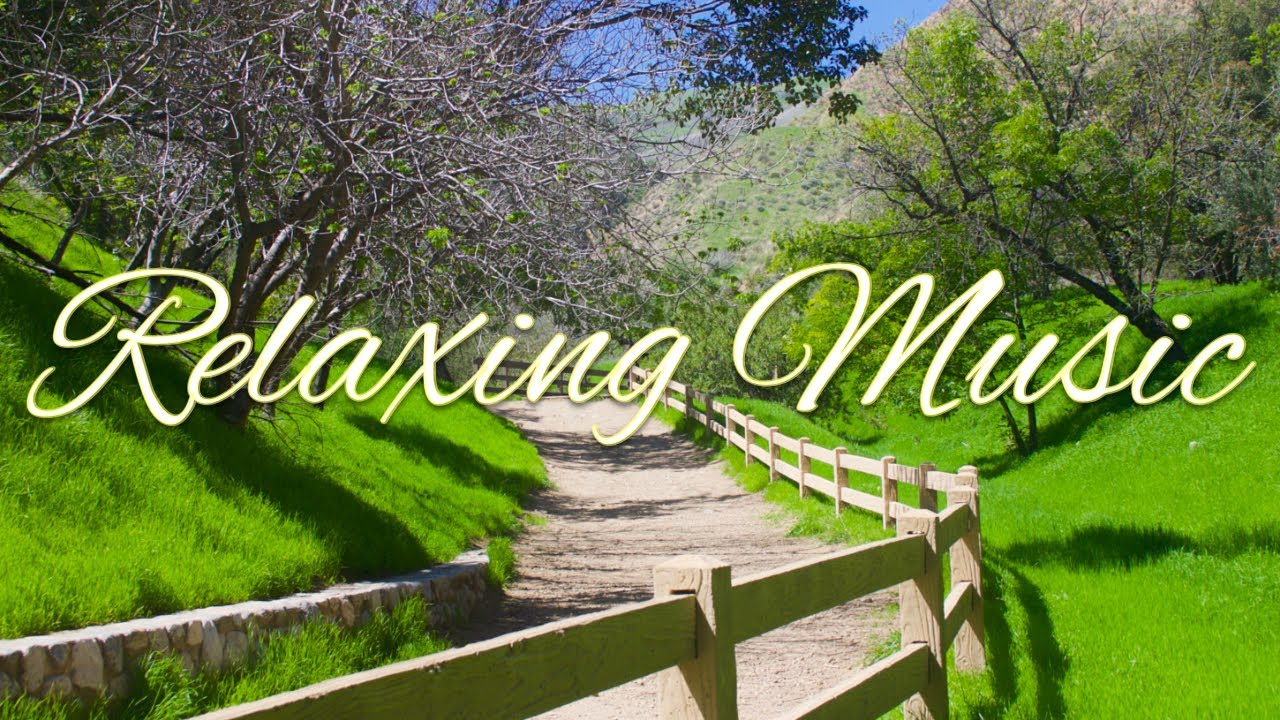 Relaxing Chill Marimba Music [4 Hours] with Nature Sounds YouTube