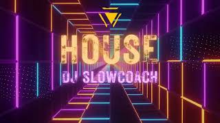 DJ Slowcoach - HOUSE MUSIC MIX / INSTRUMENTAL / 2024