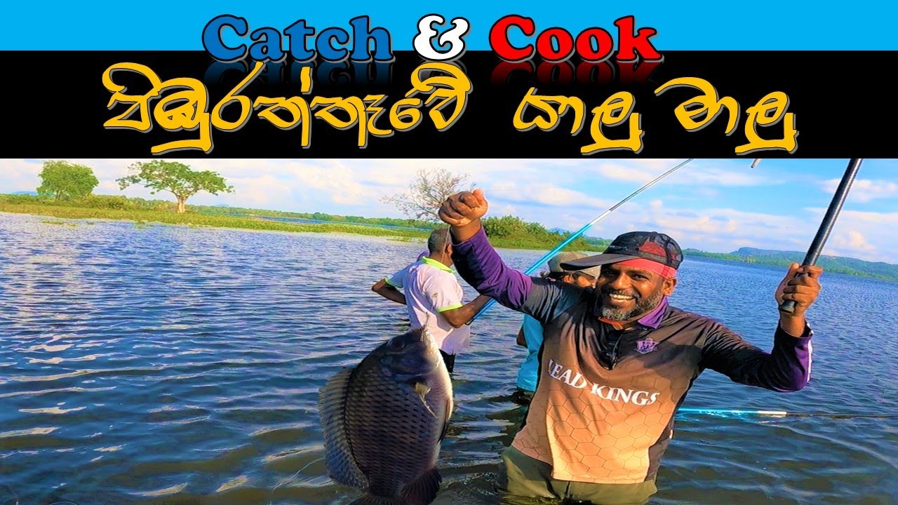 පිඹුරත්තෑවේ වැව් මාළු | Catch & Cook Vlog | පොළොන්නරුව | 