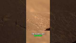 Unraveling the Mystery of Ancient Egypt's Advanced Stone Cutting Techniques