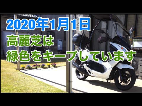 Pcx走行距離60 000キロオーバー駆動系メンテナンス Youtube