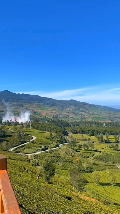 Rindu suasana desa? Lihat ini dulu..#shorts #shortsvideo #trandingshorts #pedesaan #kebunteh #nature