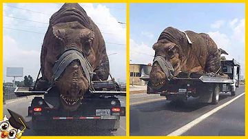 Hat ein Mensch Dinosaurier gesehen?