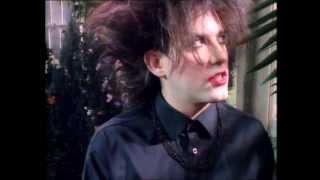 The Cure Caterpillar (Original Version HD)