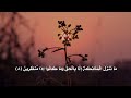 انا نحن نزلنا الذكر وانا له لحافضون حالات واتس 