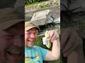 A Crumbling Estate Geocache!