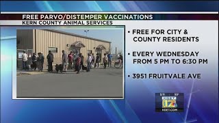 Distemper shots for dogs
