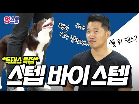 [Eng sub/日本語字幕] *독댄스 특집* 강아지 ‘스텝 바이 스텝’ 해보개｜강형욱의 멍스쿨