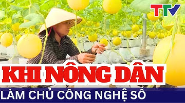 Khoa học và Công nghệ: Ứng dụng công nghệ cao trong trồng cây ăn quả | NSTH