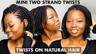 HOW TO MAKE MINI TWO STRAND TWISTS | TINY TWO STRAND TWISTS TUTORIAL | 4CHAIR