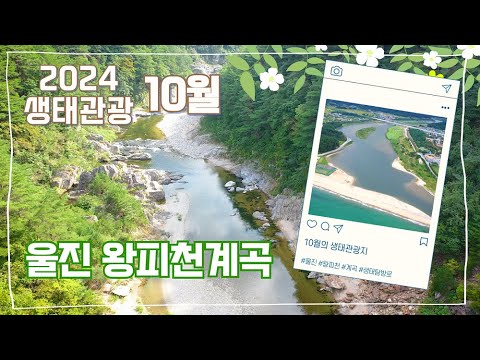 청정 자연에서 만나는 가을 쉼표🍁ㅣ이달의 생태관광지- <strong>울진</strong> #왕피천계곡