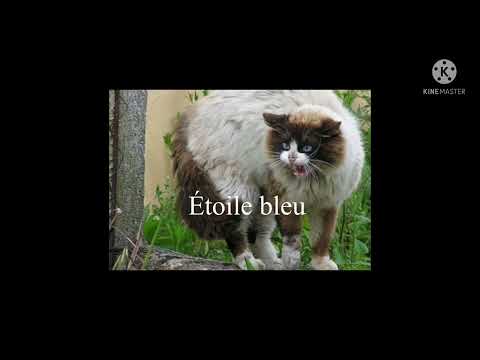 Édit lgdc(pas d’intro dsl)//summer_plays