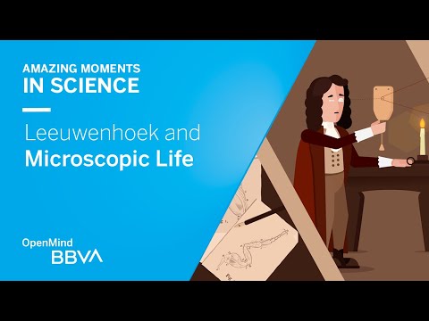 Leeuwenhoek and Microscopic Life