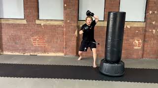 Back Fist, Reverse Punch, Ridge Hand, Side, Hook & Round Kick, Turning Side Kick, Rear Hook Kick