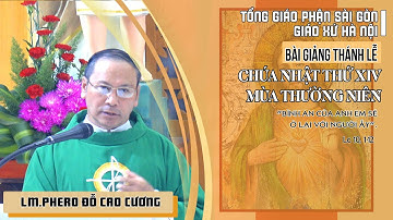 BÀI GIẢNG CỦA LM.PHERO ĐỖ CAO CƯƠNG THÁNH LỄ CHÚA NHẬT XIV THƯỜNG NIÊN NĂM C GX HÀ NỘI 02.07.2022