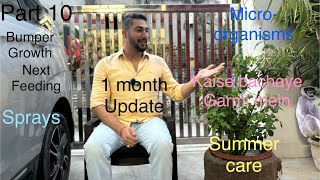 Part 10 | Grow Roses in Pots |Kaise lein bumper growth in peak summers |Kaise bachaye plants garmise