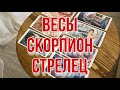 1-ОЕ ПОЛУГОДИЕ 2021 ГОДА! Весы, скорпион, стрелец ♐️ СОВЕТ КАРТ ТАРО!