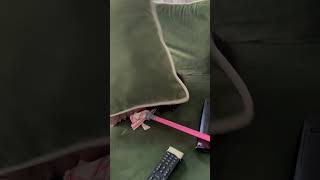 Kardeş Kıskançlıgı