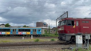 2025.6.11 高速貨物A 3063レ　越谷タ〜札幌タ　UV51A ネコロジーCC & U49A 東京福山通運ウイング新コンテナ積載！@haru0517h