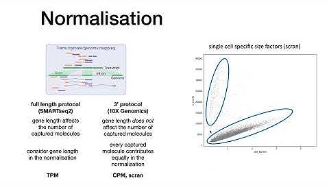 3rd scanpy session - Normalisation, Batch correction, Highly variable Genes, Embeddings