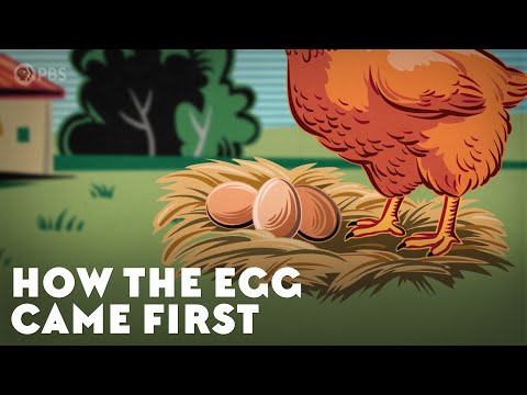 ⁣The Egg or the Chicken? The Scientific Debate