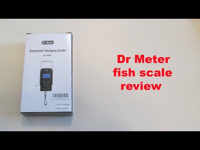 Dr Meter fish scale review 