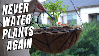 Forgetting to Water Plants? This Solves It