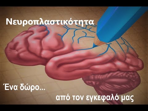 Βίντεο: Τι είναι η νευροπλαστικότητα