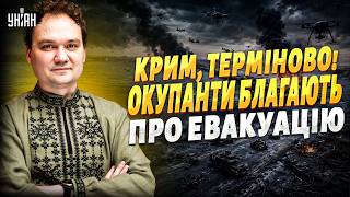 КРИМ остаточно ІЗОЛЬОВАНО від РФ! Ворог БЛАГАЄ про порятунок: у Кремлі СПРАВЖНЯ ІСТЕРИКА / Мусієнко