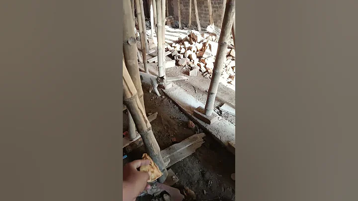 Watch the video about 🐈😺#cute #cutecat #cat #hungryanimal #catlover #trending #trendingshorts #funny #viralvideo #video