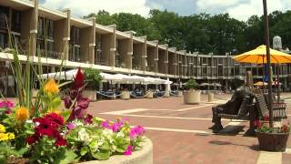 Reston Master Plan Phase II Explained