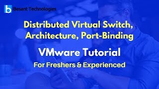 Distributed Virtual Switch, Architecture, Port-Binding | VMware  Tutorial For Beginners Profile