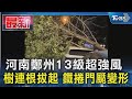 河南鄭州13級超強風 樹連根拔起 鐵捲門颳變形｜TVBS新聞 @TVBSNEWS01
