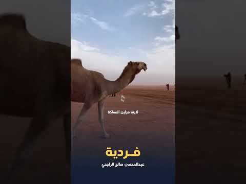 فردية رجل الأعمال عبدالمحسن بن صالح الراجحي