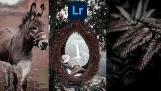 'Cocoa' Color Grading in Lightroom | Free Preset | Lightroom Tutorial | Lightroom Mobile DNG screenshot 4