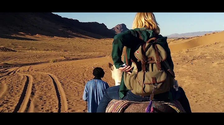 Trover & Brendan van Son "Best Job" Application - ...