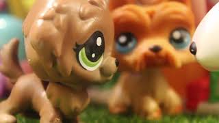 LPS сериал:мечта русалки 11 серия/Dream mermaid 11 episode LPS сериал:мечта русалки 11 серия/Dream mermaid 11 episode