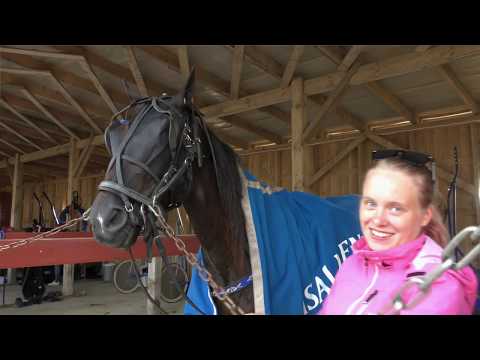 Video: Kuninkaallinen hevosurheilu Ascotissa - epätavallisten hattujen paraati