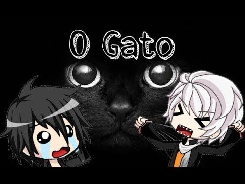 meme-o-gato