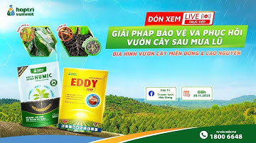 [🔴LIVE] GIẢI PHÁP BẢO VỆ VÀ PHỤC HỒI VƯỜN CÂY SAU MƯA LŨ – ĐỊA HÌNH VƯỜN CÂY MIỀN ĐÔNG VÀ CAO NGUYÊN