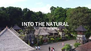 Beautiful And Magical Bali, Indonesia