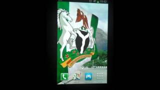 Naija Flag Live Wallpaper screenshot 3