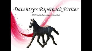 Daventry's Paperback Writer by Daventry Equestrian 24 views 3 years ago 17 seconds