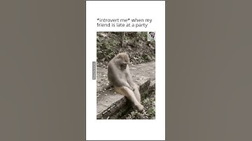 Friends forever•introvert diaries🙍🙍 #shorts #party #memes